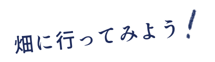 畑に行ってみよう